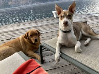 On the dock.