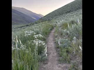 Hiking and mountain biking trails behind our house