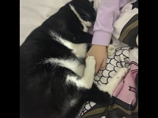 I love cuddling with my human - on my terms only.