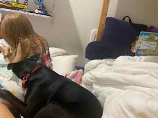 Loves kids and people, loves to snuggle.