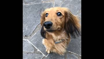 Pablo ❤️