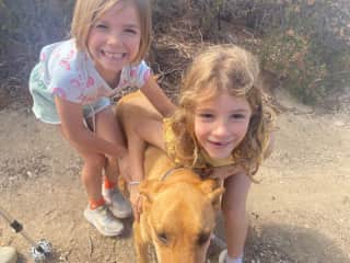 Our Corsican dog, Scooby