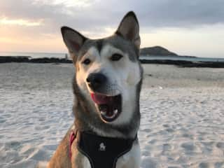 Ella on the beach