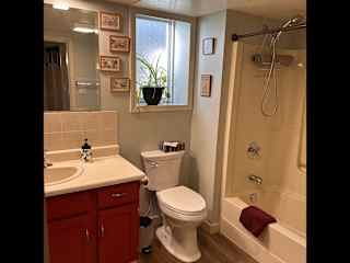 basement bathroom