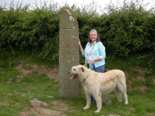 Mary and Sheva, the Irish Wolfhound, checking out the local history in Northern Ireland.