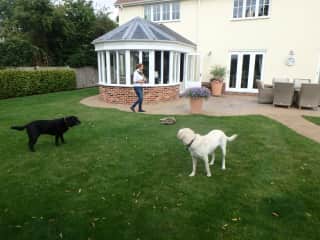 Barney and Milo in Bury St Edmonds
