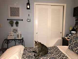 Bedroom and Patty