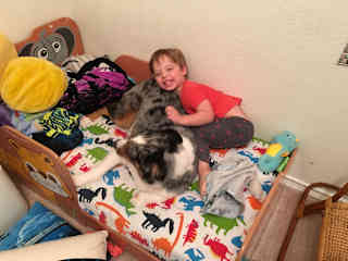This is our son and Australian shepherd.