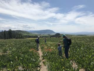 Hiking in the mountains with family .