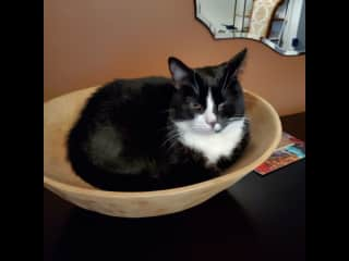 Little One repurposed our salad bowl.  I know! Don't worry we don't use it for food anymore :-)