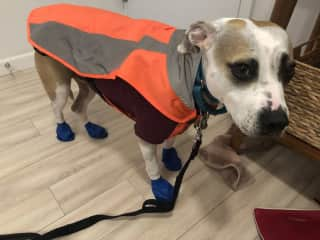 Uma's snow gear