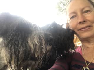 Schnauzer heaven