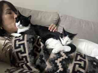 Sweet Venus and Michi in Madrid. They loved napping on top of me as I read a book. Lol