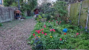 Secret garden which has table tennis, football goal, badminton net, netball and basket ball goals and a pizza oven!
