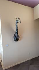 Gladys the giraffe