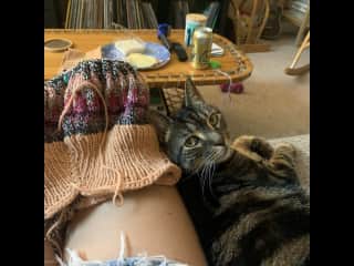 Love her couch cuddles