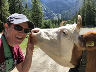 Never know what you’ll come across on a hike in Switzerland.