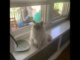 Miss Pina posing…