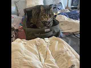 Tanker in the suitcase. Take me with you, PLEASE!