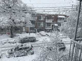 Winter view