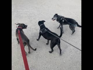 With her gal pals.