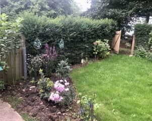 Back garden with outdoor seating