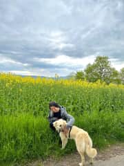 Wonderful Catherine (animal shelter Mayen, Germany)