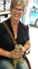 Meeting a groundhog in Bangkok