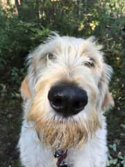 Murphy