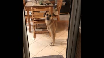 He has a straight line of sight for whats on the table.