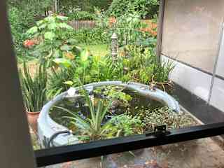 Sunny’s beautiful outdoor retreat.