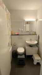 main bathroom, tub with shower.