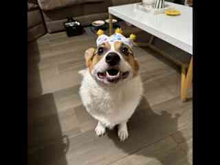 Birthday #2