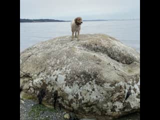 I’m the Queen of the Castle!