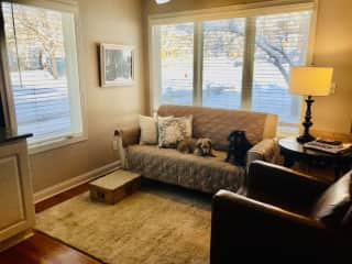 This is the sitting area that's adjacent to the kitchen. Note the two dogs on the sofa.