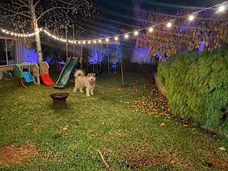 Backyard at night