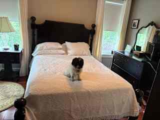 Maizey showing off the primary guestroom