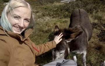 One of the donkeys I lived with in Connemara.