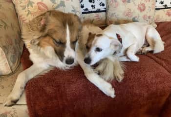 Best Friends