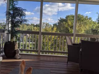 Screened in back deck complete with BBQ area