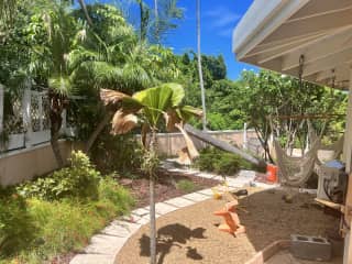 Zen garden + kids outdoor play area