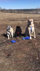 Charlie, Norah Eddie in Fort Smith NWT