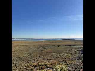 Nature preserve/ mission bay. Downtown San Diego in the distance