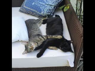 In the garden I have a daybed where you can enjoy a shady afternoon with them.