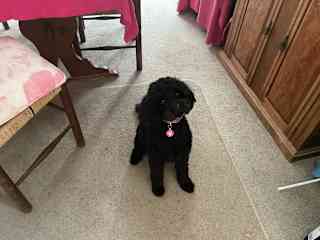 Molly