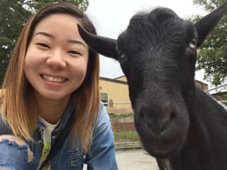 good at taking selfie with animals