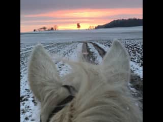 Winter sunset