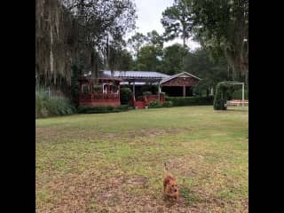 Lakeside of our home, where we have a lot of meals on the gazebo and enjoy the view from the hot/cool tub!