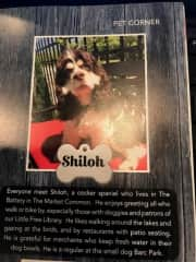 Shiloh was featured in a local magazine