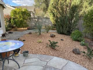 Backyard Patio